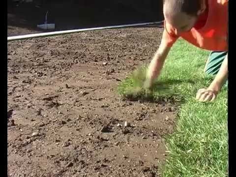 Kako pripremiti teren za travnjak?