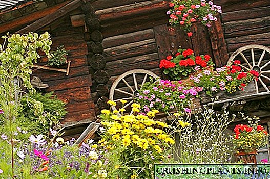 10 noodsaaklike elemente van 'n Switserse tuin