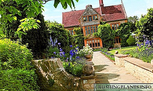 10 basiese elemente van 'n Engelse tuin