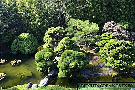 12 rahasia keaslian kanggo sudhut ing semangat taman Jepang