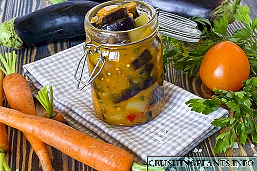 Модар патлиџан со моркови - салата од зеленчук за зима