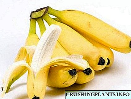 Banane për gëzimin për ju