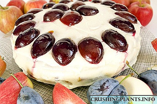 خزاں پھل کے ساتھ سپنج کیک