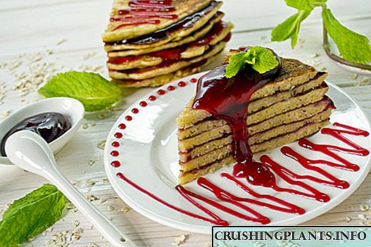 Curdled kiselom အပေါ် Raspberry နှင့်အတူ pancake ကိတ်မုန့်