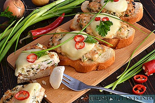 Oven sandwiches baked with cutlet chicken and mozzarella