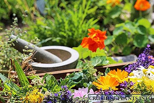 Blomme bed "Tee" - blombedding vir die groei van kruie en kruie