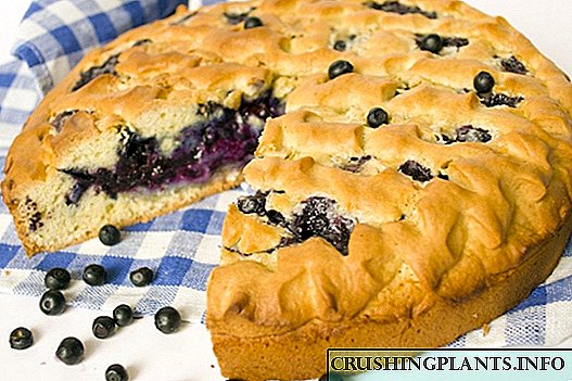 Pie ng Blueberry