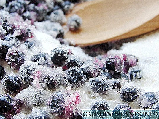 Blueberries karo gula