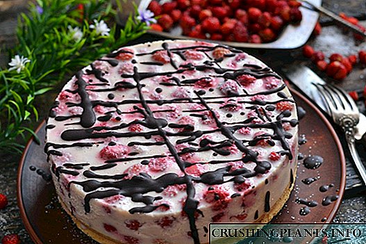 Strawberry Cheesecake Nang walang Paghurno