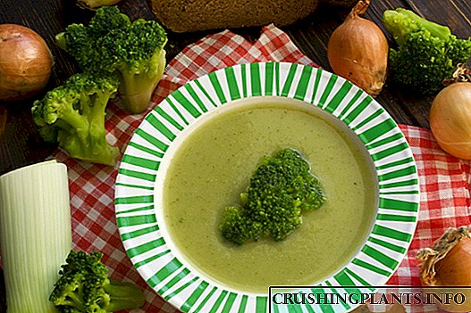 Soppa tad-Dieta Brokkoli