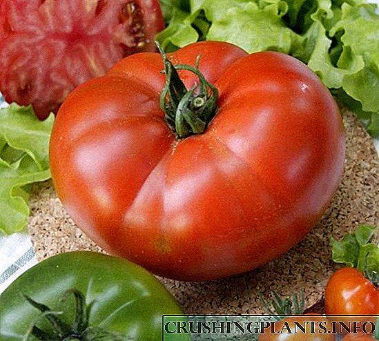 ہر قسم کے ٹماٹر کا اپنا پاک مقصد ہوتا ہے۔