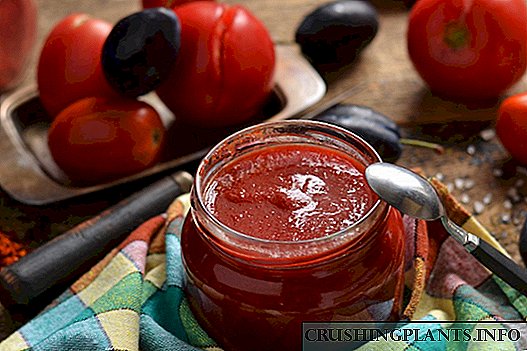 Tomat homemade sareng plum ketchup keur usum