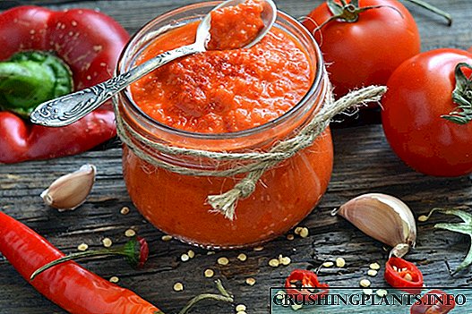 Homemade Tomato at Bell Pepper Ketchup