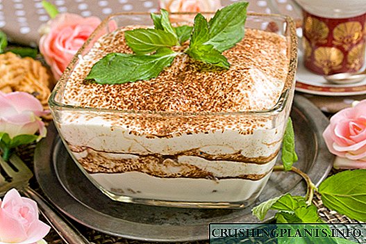 Recipe dessert ya Tiramisu