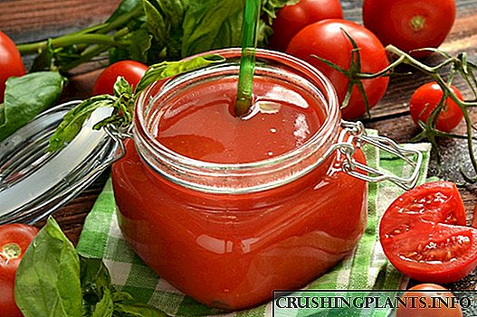 Homemade Tomato Juice sa isang Blender