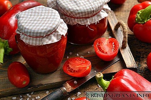 Чошнии помидорҳои хонагӣ - барои барбекюи бениҳоят болаззат!