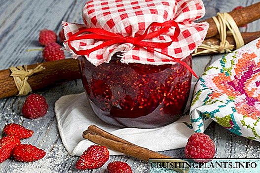 Strawberry kupanikizana ndi raspberries ndi sinamoni