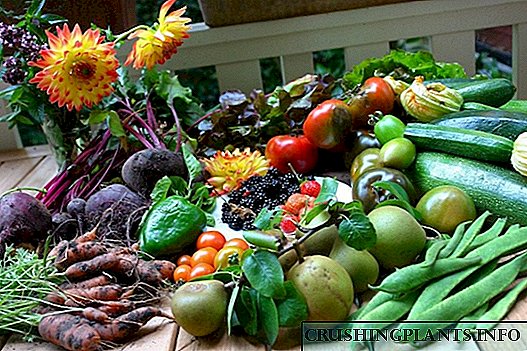 EM preparati u organskom uzgoju povrća