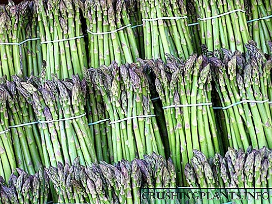 Ang kahibulongan nga utanon mao ang asparagus.