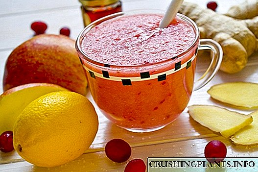 Cranberry Fruit Smoothie - Vitamin Smoothie