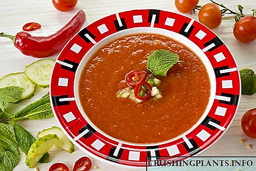 Gazpacho - malvarma tomata supo