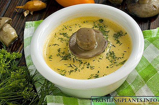 Supë me krem ​​kërpudha me krem ​​dhe kunguj të njomë