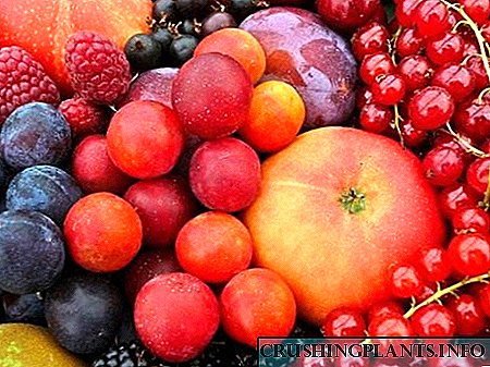 Nambahkeun buah sareng buah beri