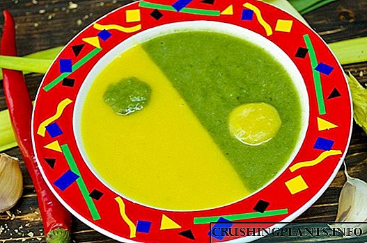 "Јин-Јанг" - супа од зеленчук со пилешка супа