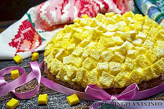 Italian cake "Mimosa"