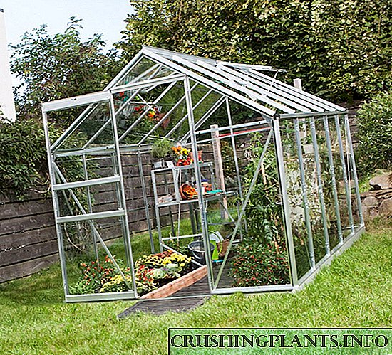 Како да се искористи стаклена градина во земјата што е можно поефикасно?