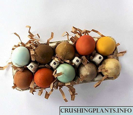 قدرتی مصنوعات کے ساتھ ایسٹر انڈے کا رنگ کیسے لگائیں۔