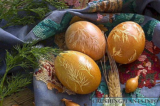 Улаан өндөгний баярын үеэр өндөгийг хэрхэн будах вэ, сонгины хальс, самбай, dill