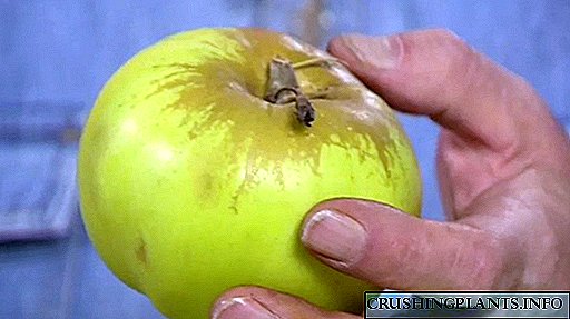 Theawa celebên darên apple yên ji bo baxçê hilbijêrin?