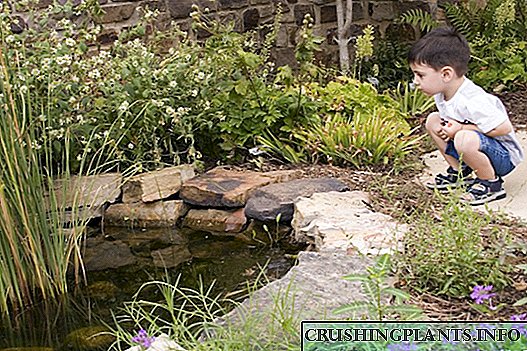 Како да се направи езерцето безбедно за деца?