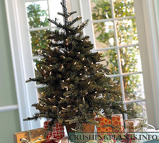 Si të kurseni një pemë të Krishtlindjes për kopshtin?
