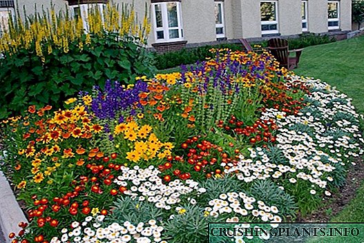 Como crear un fermoso e elegante xardín de flores. Esquema de cores