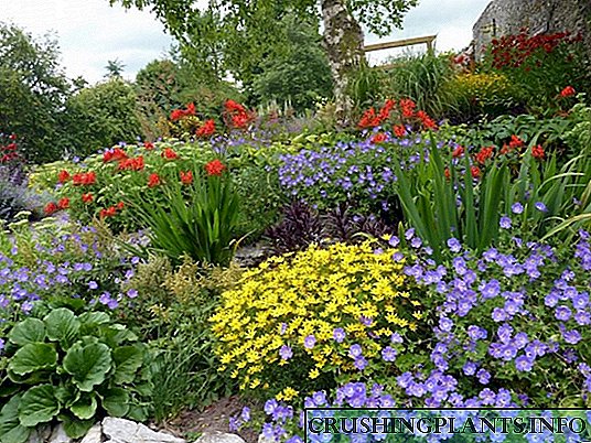 Como crear un fermoso e elegante xardín de flores. Normas xerais