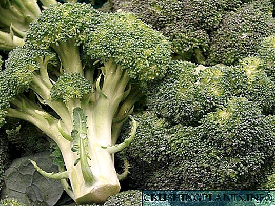 Ọna eso kabeeji: broccoli
