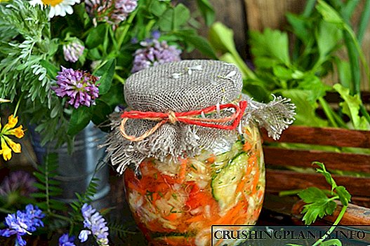 Gobis salad kanggo mangsa ing timun karo tomat lan tomat
