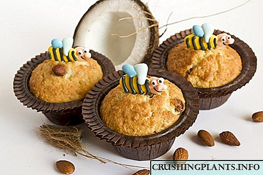 Muffins Coconut