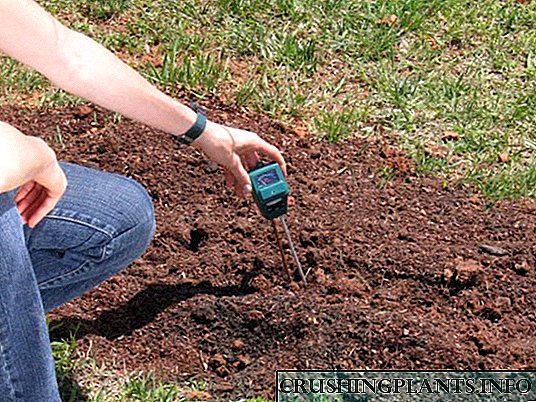 Киселина на почвата - како да се утврди и деоксидира