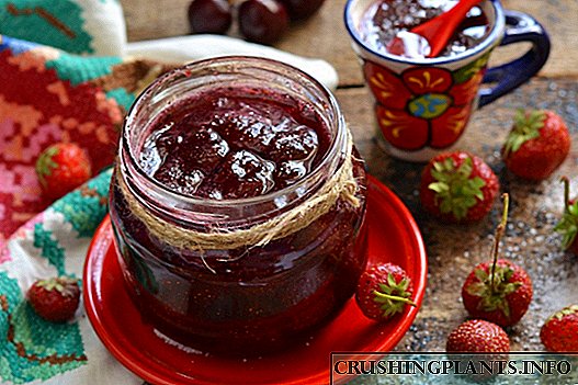 Strawberry Jam "Berry"