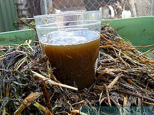 Kompost edilmiş "çay" - ən yaxşı təbii gübrədir