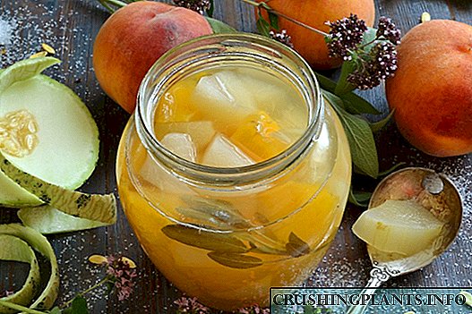Compote of melon with peaches and sage for the winter