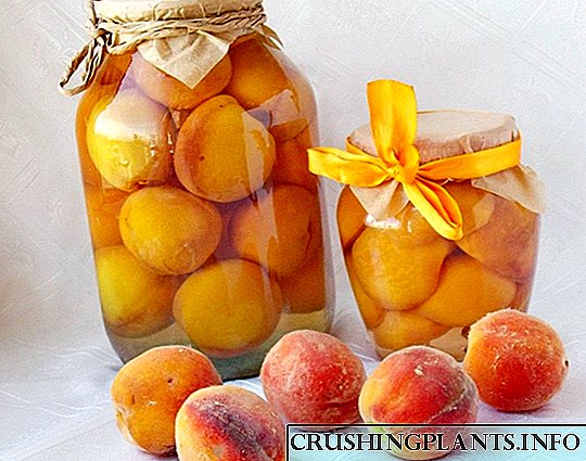 Enlatigitaj persikoj en siropo
