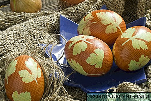Ovos de pascua coloreados decorados con follas de perexil