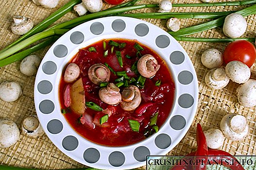 Supë panxhar të kuq me mish pule dhe kampionë