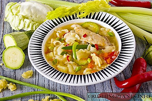 Sopa de polo con verduras e pasta