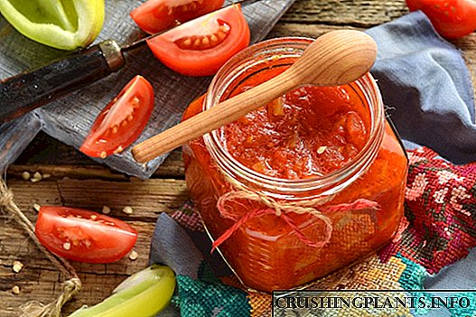 Lijek paprike i rajčice - kao u djetinjstvu