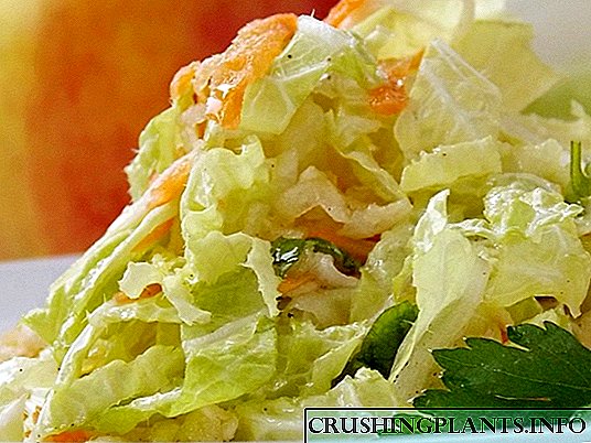 Кытай капустасы жарык салат